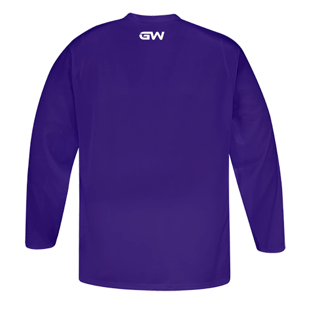 GameWear GW5500 ProLite Series Junior Hockey Practice Jersey - Violet - Image 2