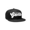 Violent Gentlemen Ivy Snapback Hat